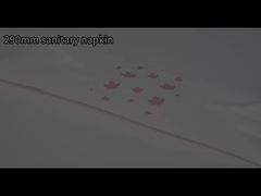 6+6+4 Pad di alta qualità per donna Servizio sanitario femminile Servizio sanitario economico Germania Servizi sanitari