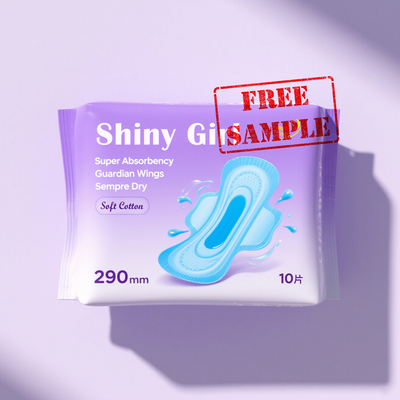 Un buon prezzo. Assorbente igienico usa e getta: la scelta perfetta per l'igiene femminile in linea